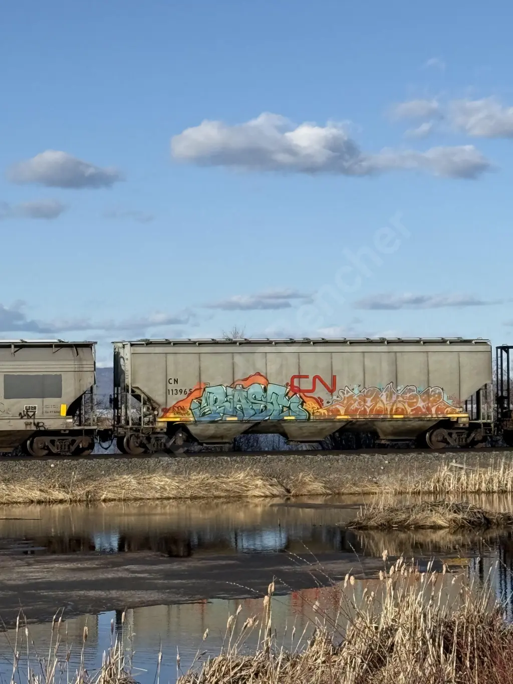 CN113965 - NORTH-AMERICA