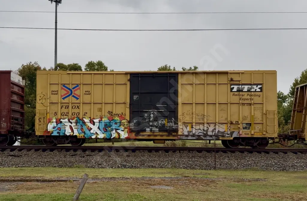 FBOX502002 - NORTH-AMERICA