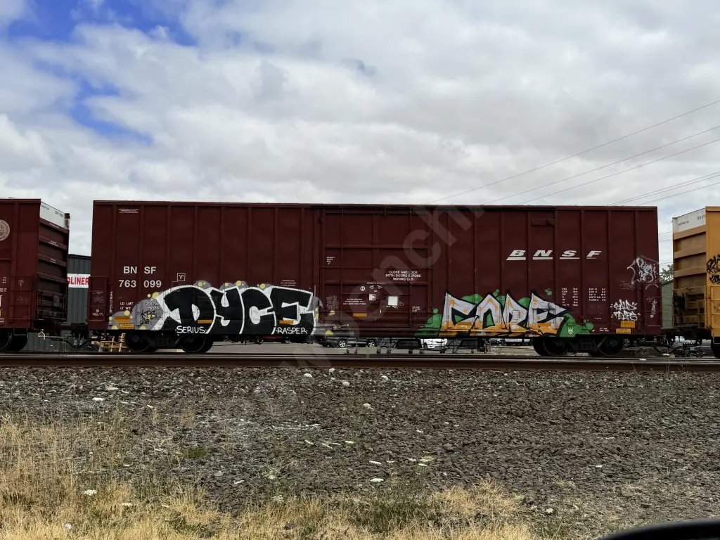 BNSF763099 - NORTH-AMERICA