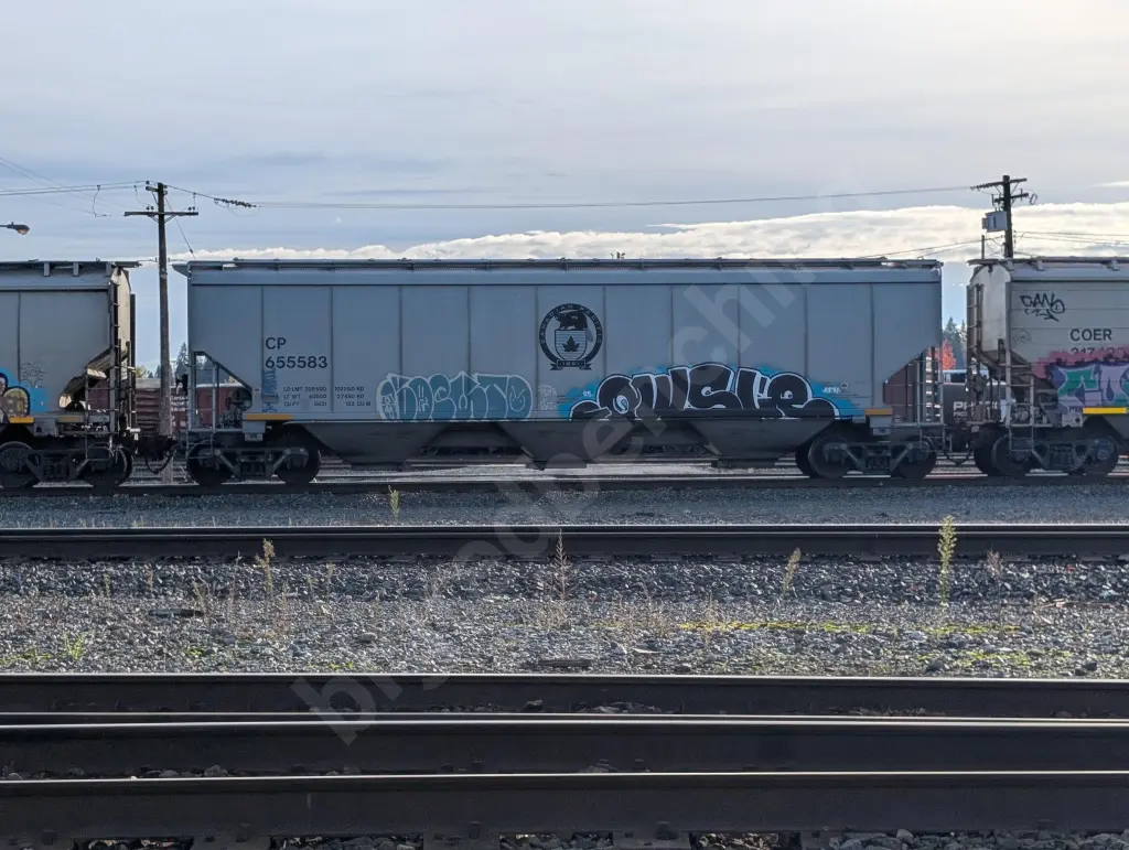CP655583 - NORTH-AMERICA