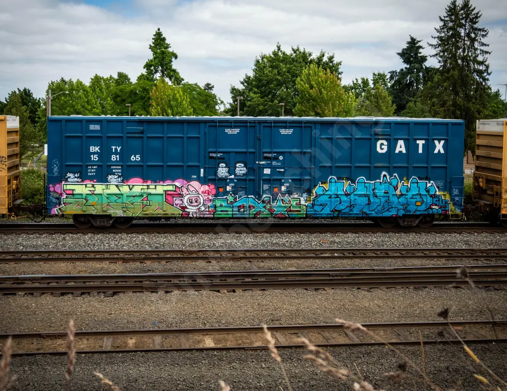 BKTY158165 - NORTH-AMERICA