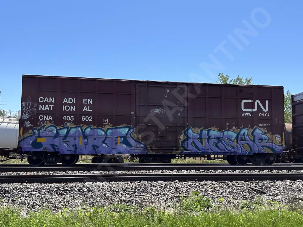 CNA405602 - NORTH-AMERICA