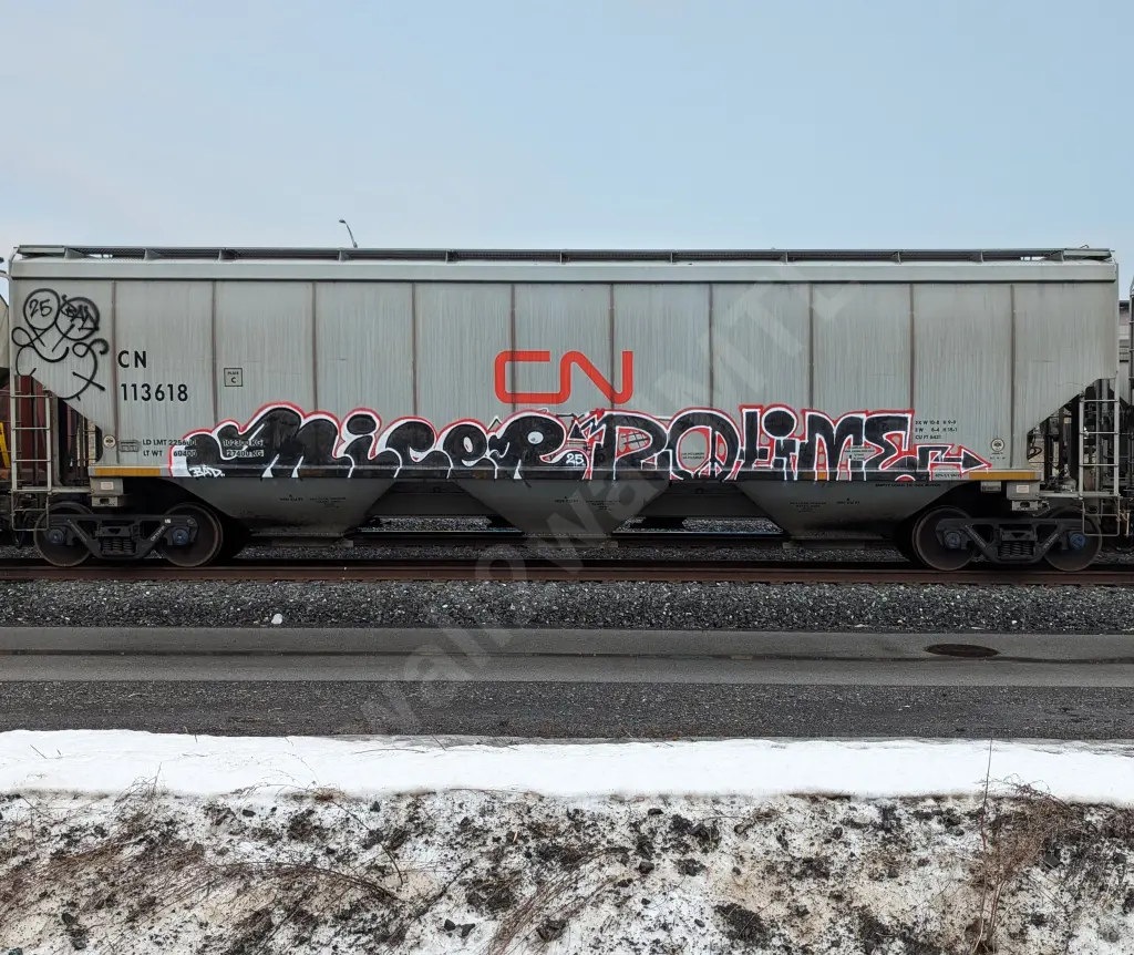 CN113618 - NORTH-AMERICA