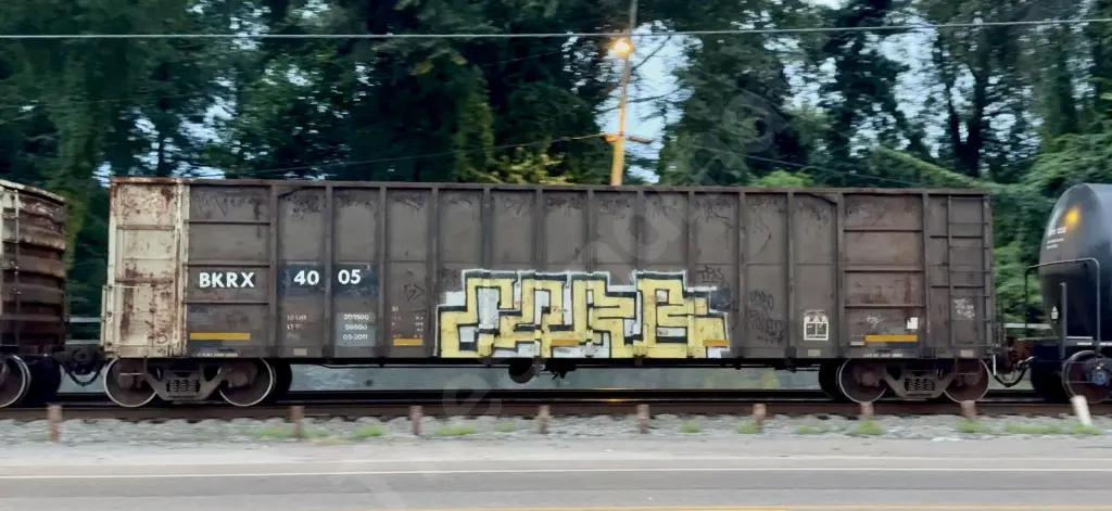 BKRX4005 - NORTH-AMERICA