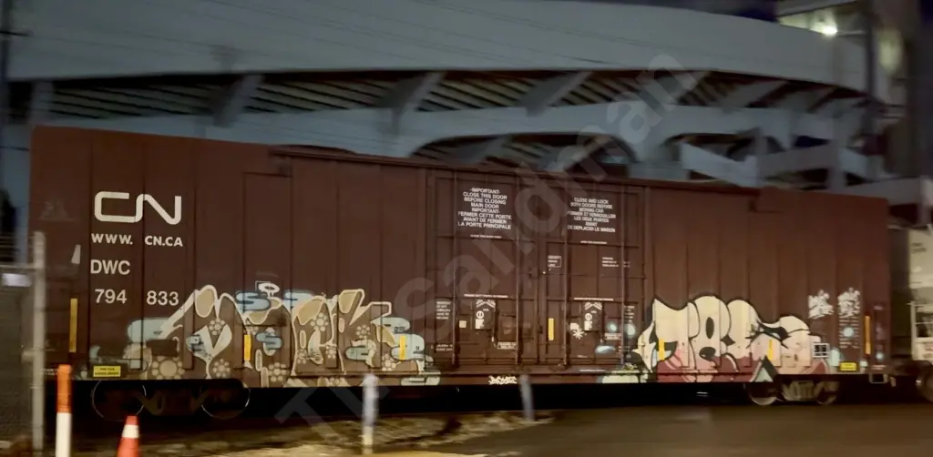 DWC794833 - NORTH-AMERICA