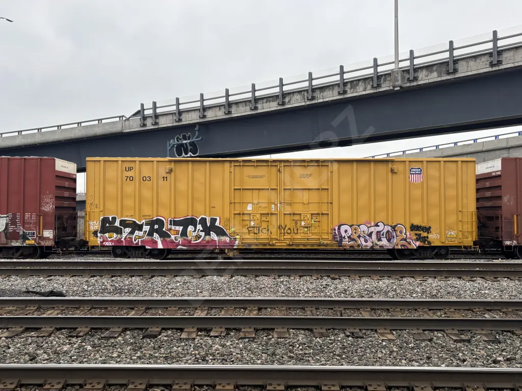 UP700311 - NORTH-AMERICA