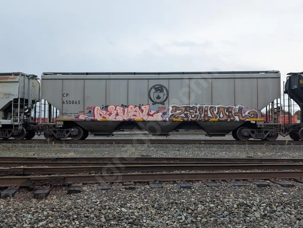 CP650865 - NORTH-AMERICA