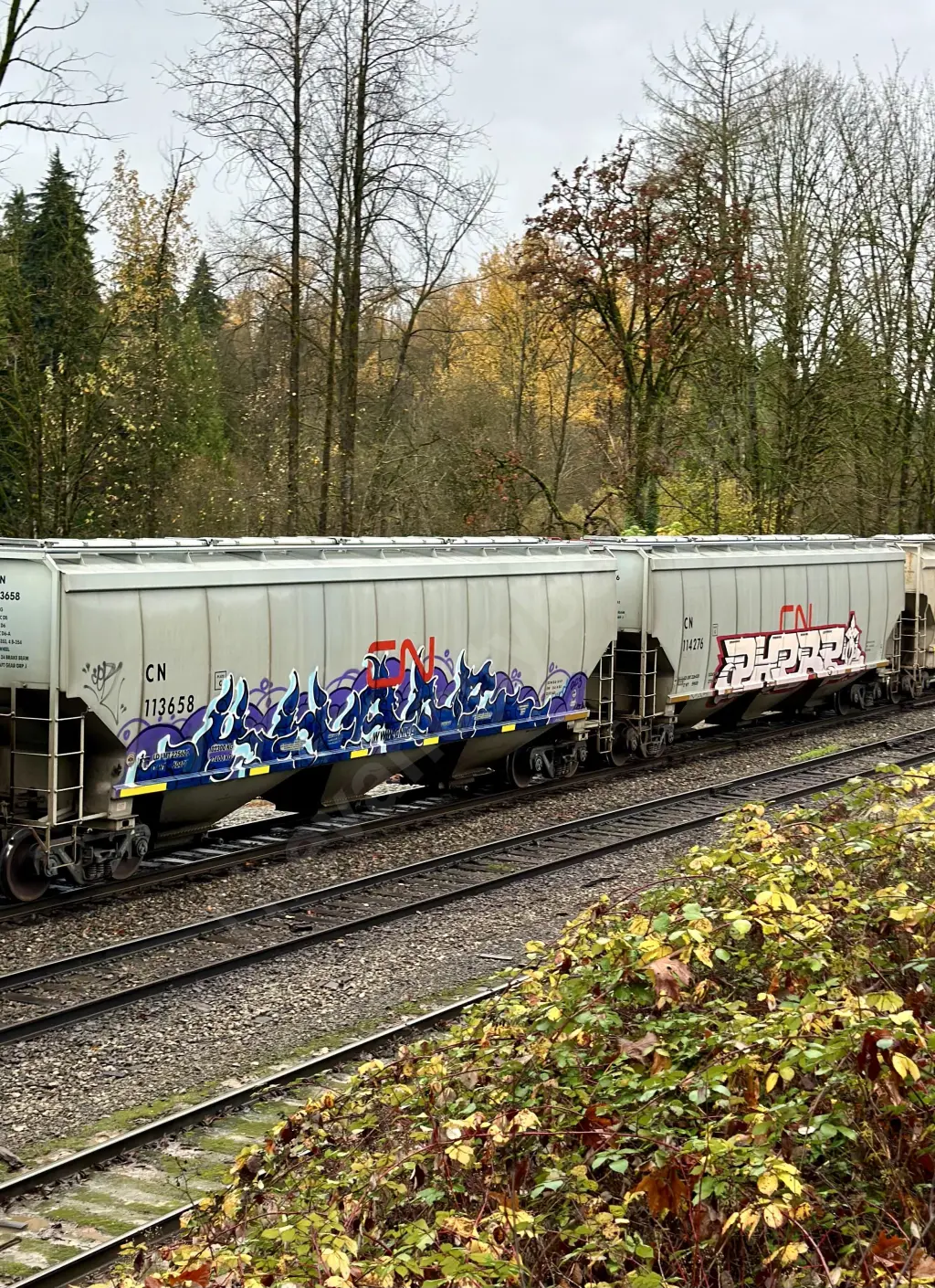 CN113658 - NORTH-AMERICA