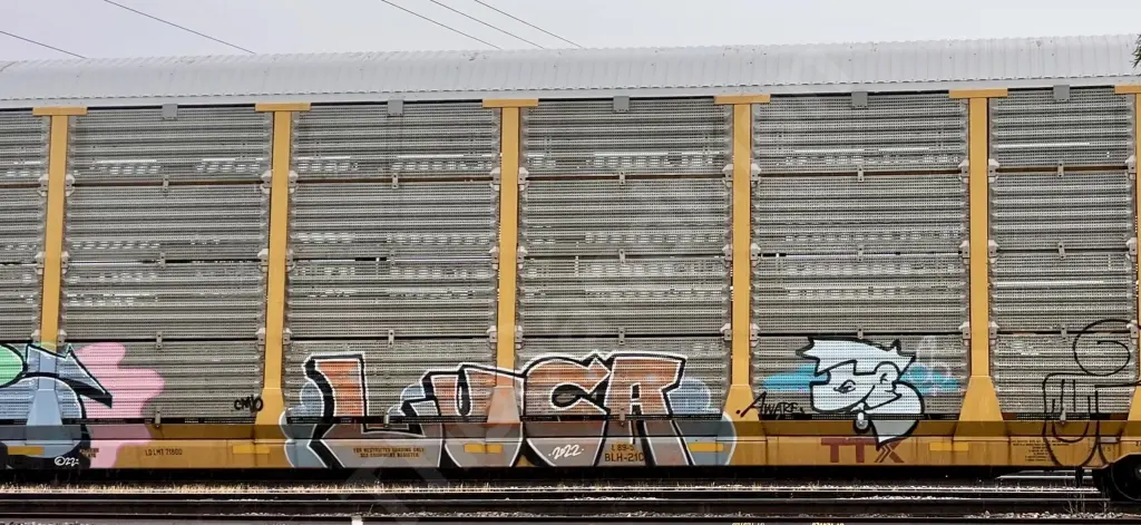 ETTX701594 - NORTH-AMERICA