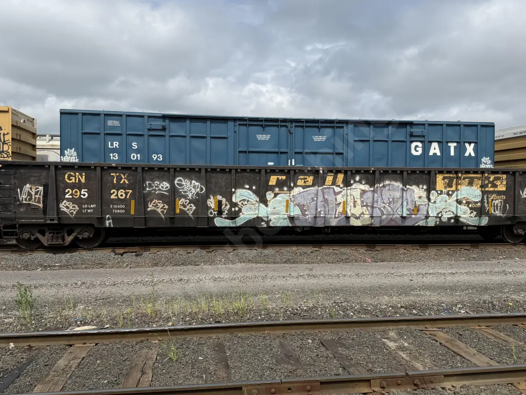 GNTX295267 - NORTH-AMERICA