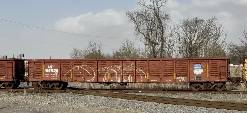 MP641129 - NORTH-AMERICA