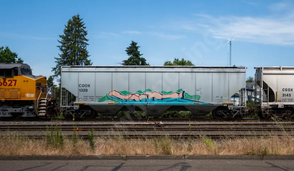 CGOX1328 - NORTH-AMERICA