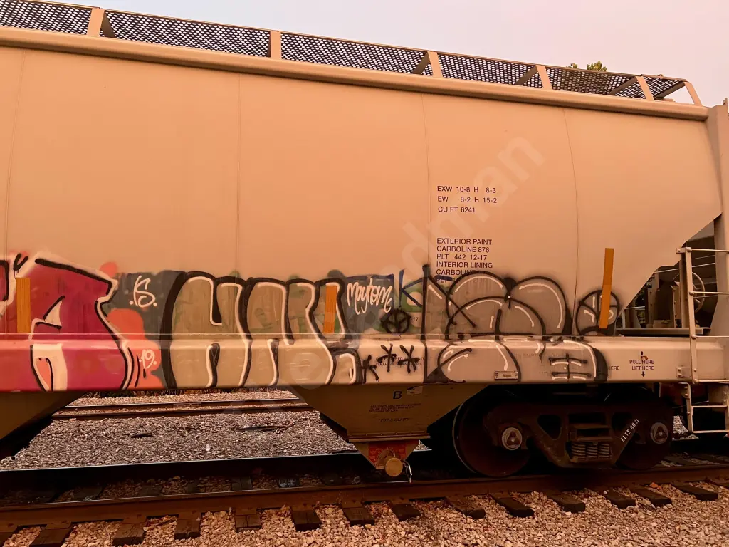 ELTX8031 - NORTH-AMERICA