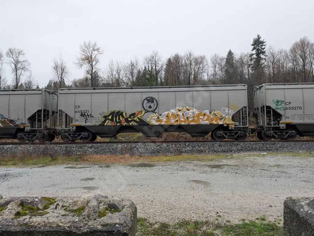 CP655321 - NORTH-AMERICA