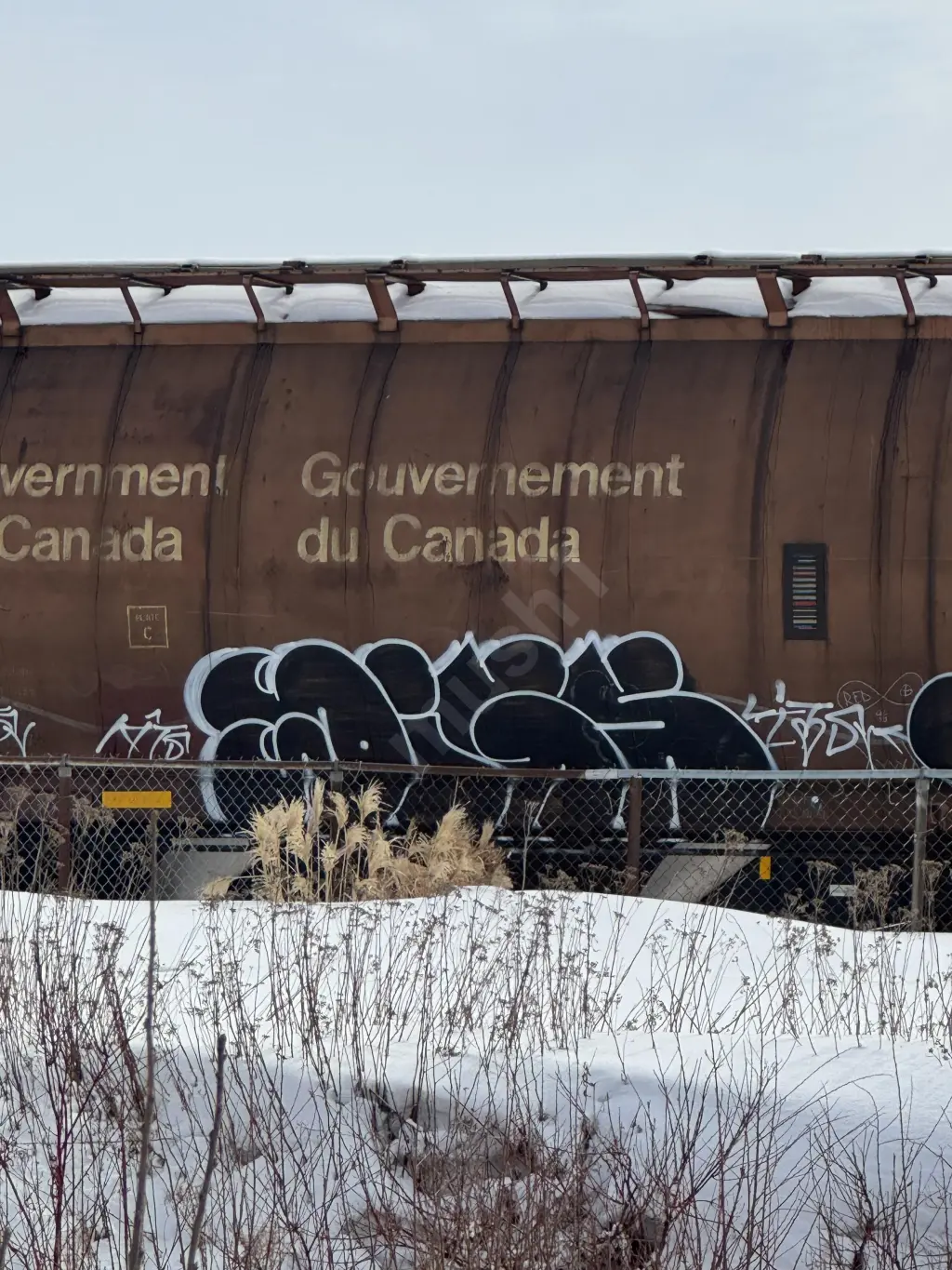 CN101178 - NORTH-AMERICA