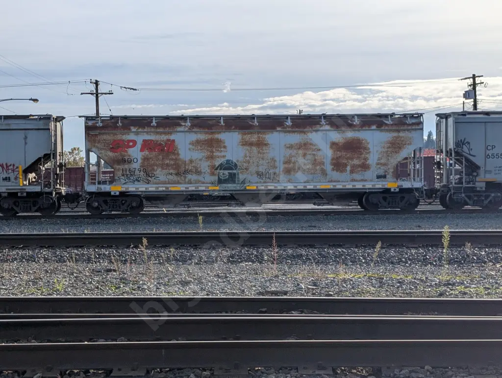 SOO116790 - NORTH-AMERICA