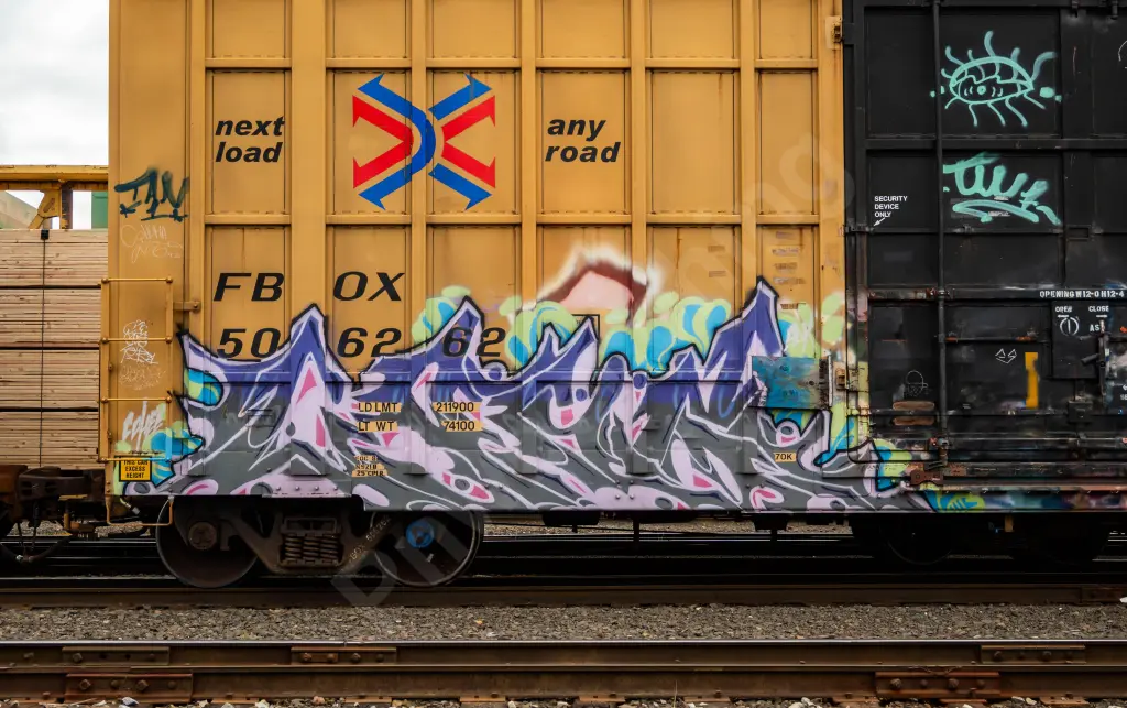 FBOX506262 - NORTH-AMERICA