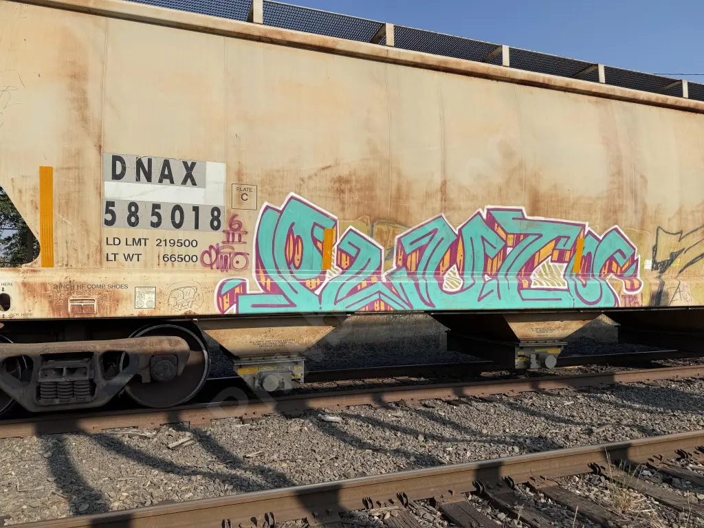 DNAX585018 - NORTH-AMERICA