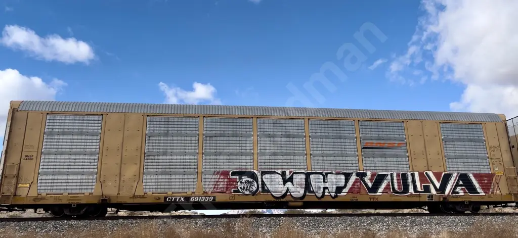 CTTX691339 - NORTH-AMERICA