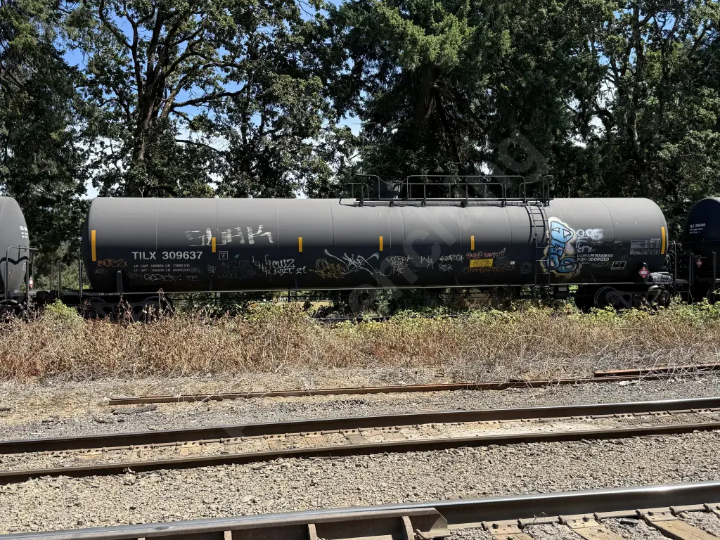 TILX309637 - NORTH-AMERICA