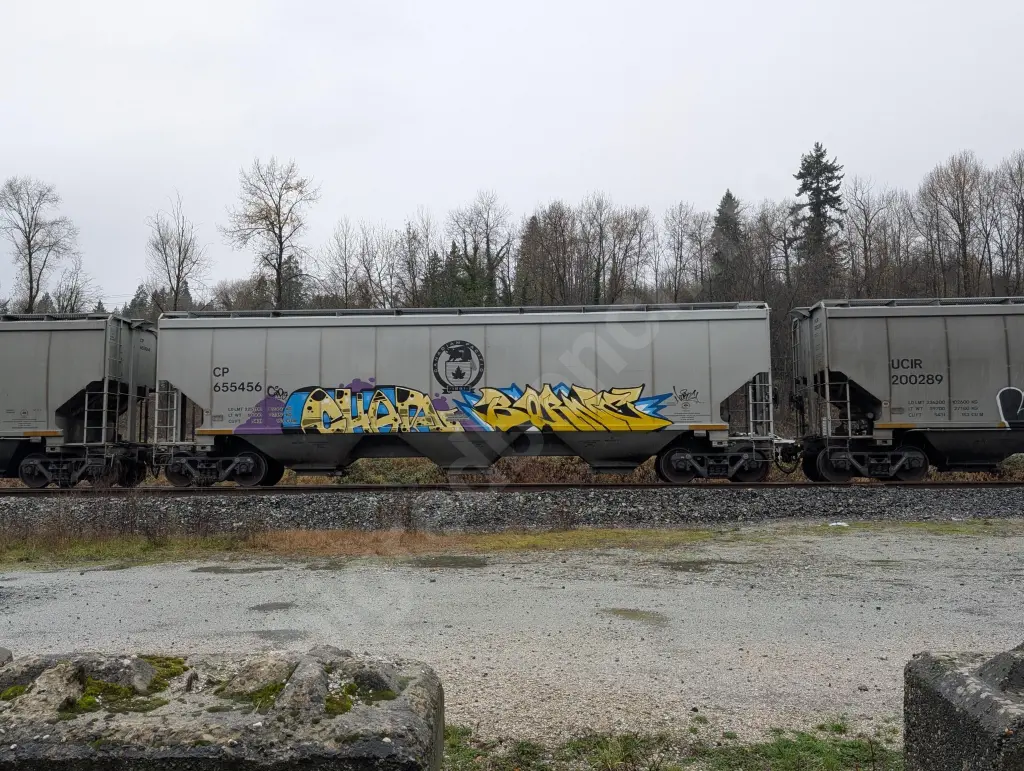 CP655456 - NORTH-AMERICA