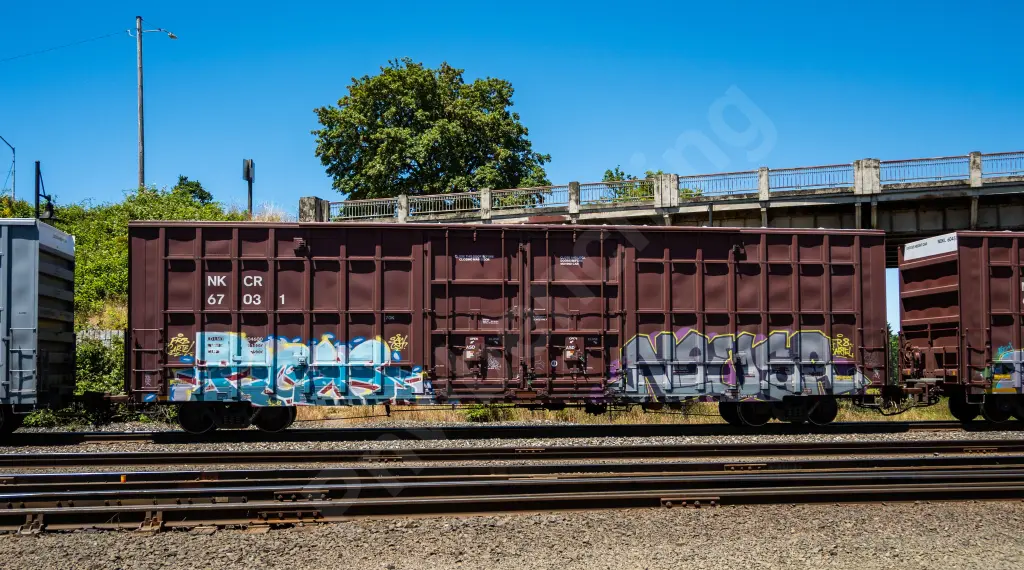 NKCR67031 - NORTH-AMERICA
