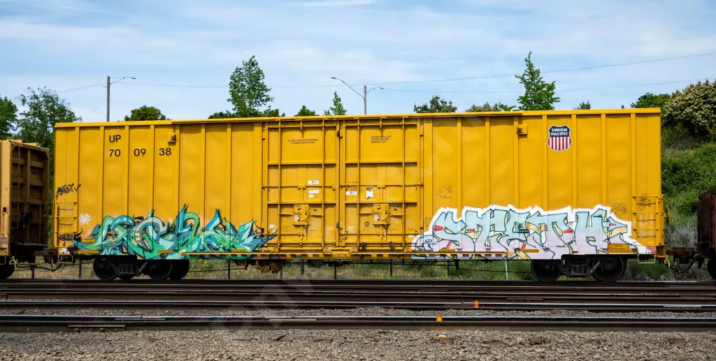 UP700938 - NORTH-AMERICA
