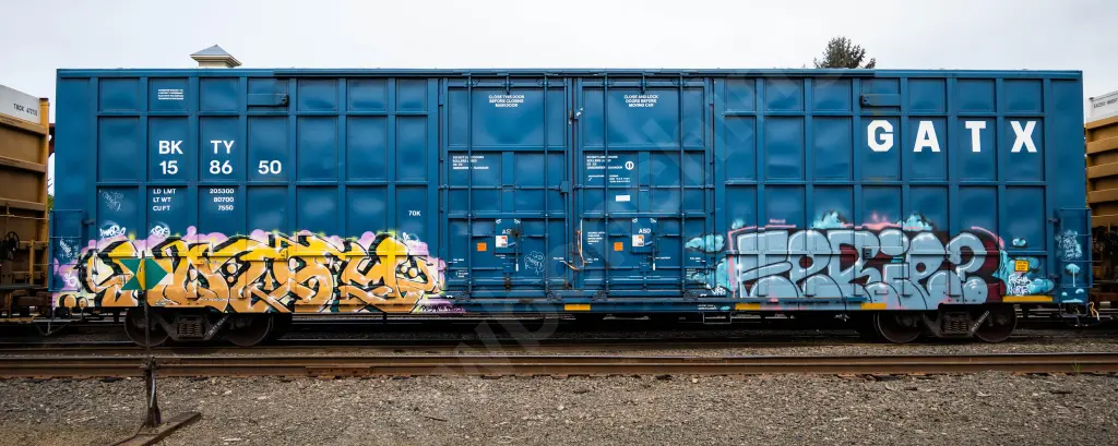 BKTY158650 - NORTH-AMERICA