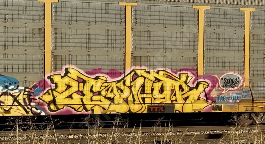 TTGX942581 - NORTH-AMERICA