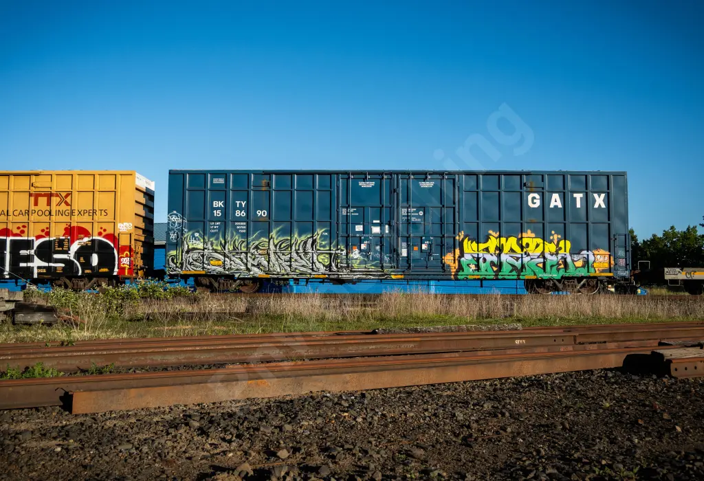BKTY158690 - NORTH-AMERICA