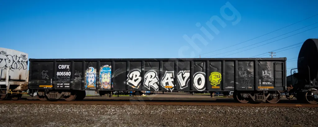 CBFX806580 - NORTH-AMERICA