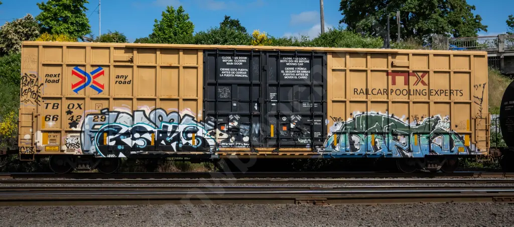 TBOX664229 - NORTH-AMERICA