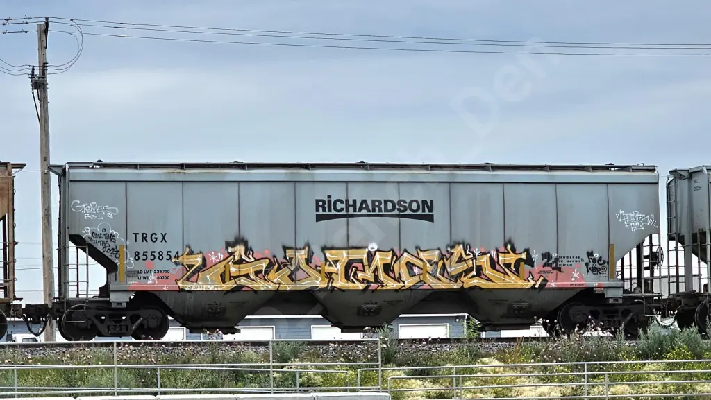 TRGX855854 - NORTH-AMERICA