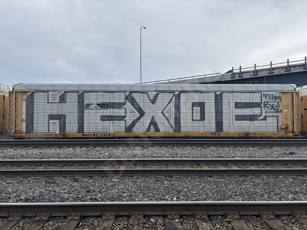 TTGX706919 - NORTH-AMERICA