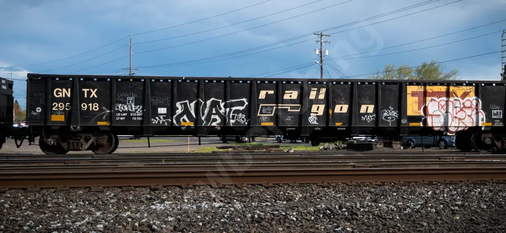 GNTX295918 - NORTH-AMERICA