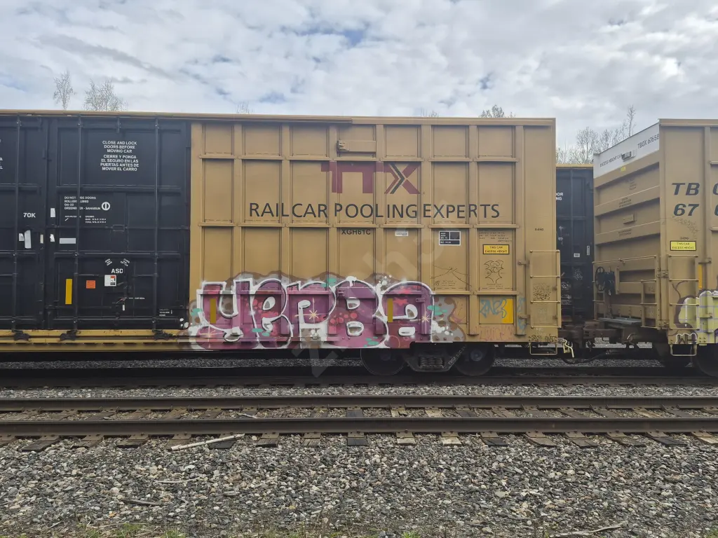 TBOX630317 - NORTH-AMERICA