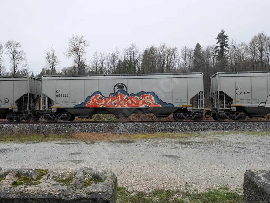 CP655629 - NORTH-AMERICA