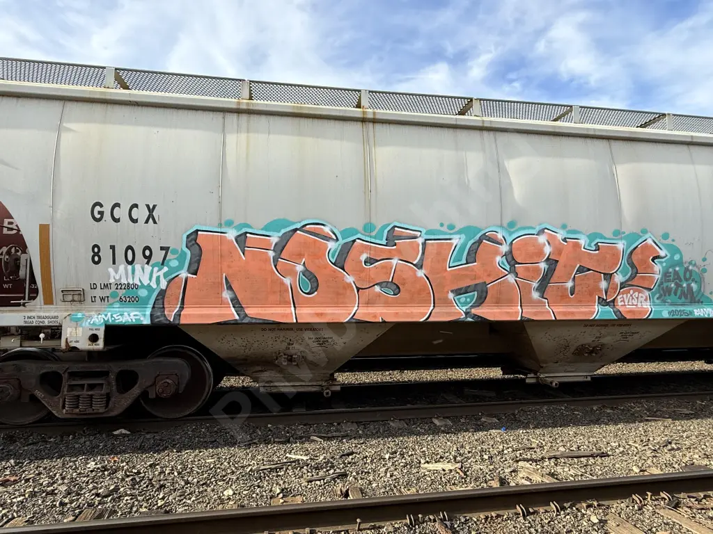 GCCX81097 - NORTH-AMERICA