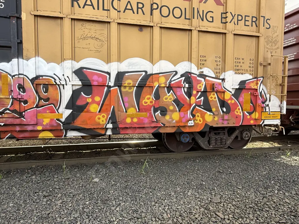 FBOX506534 - NORTH-AMERICA