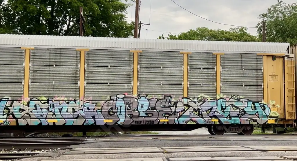 CNA712507 - NORTH-AMERICA