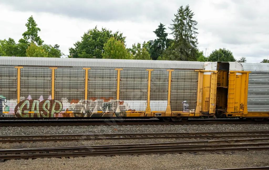 TTGX988316 - NORTH-AMERICA