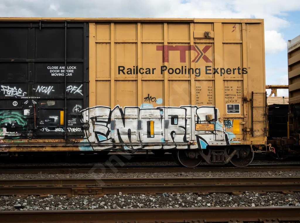 FBOX506266 - NORTH-AMERICA