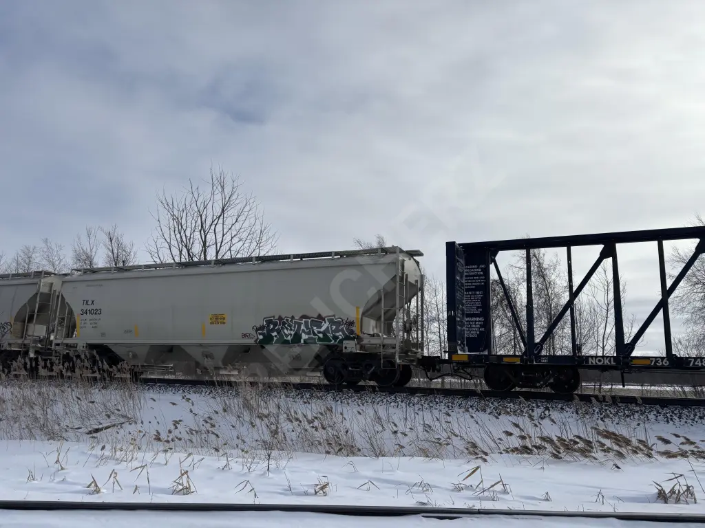 TILX341023 - NORTH-AMERICA