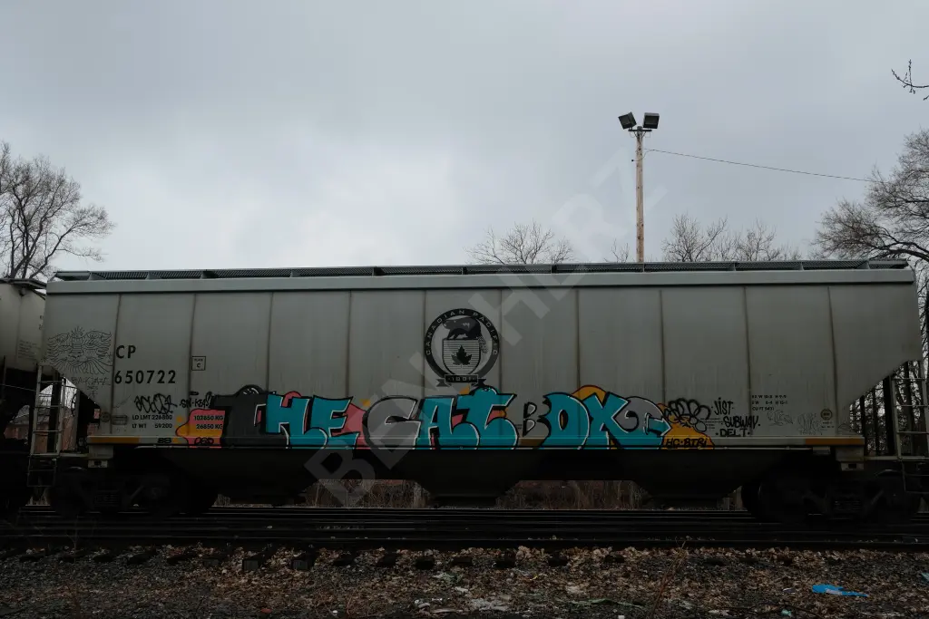 CP650722 - NORTH-AMERICA