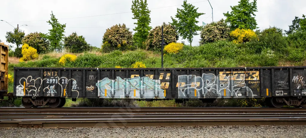 GNTX297121 - NORTH-AMERICA