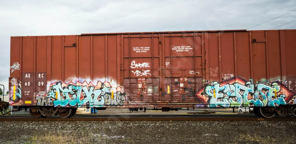 AERC6009 - NORTH-AMERICA