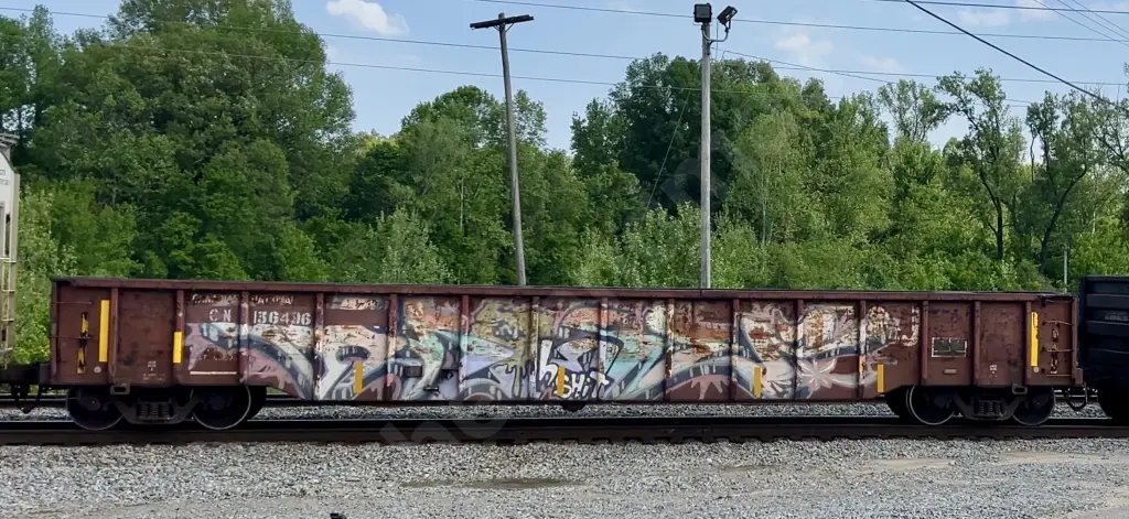 CN136496 - NORTH-AMERICA