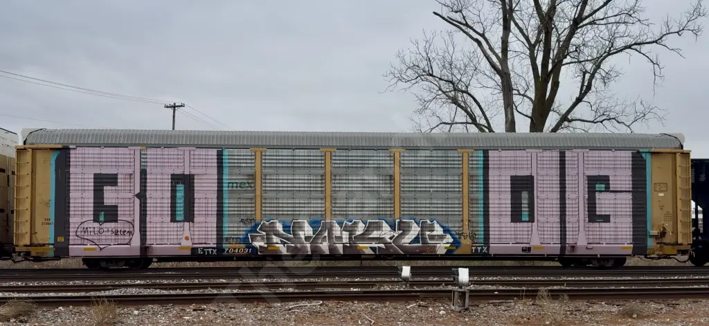ETTX704031 - NORTH-AMERICA