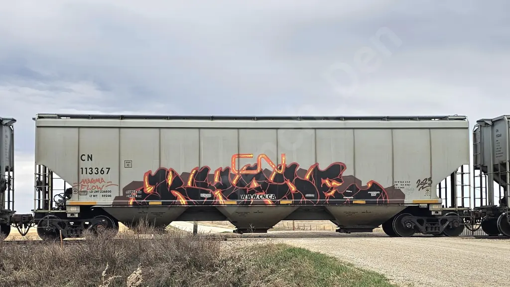 CN113367 - NORTH-AMERICA