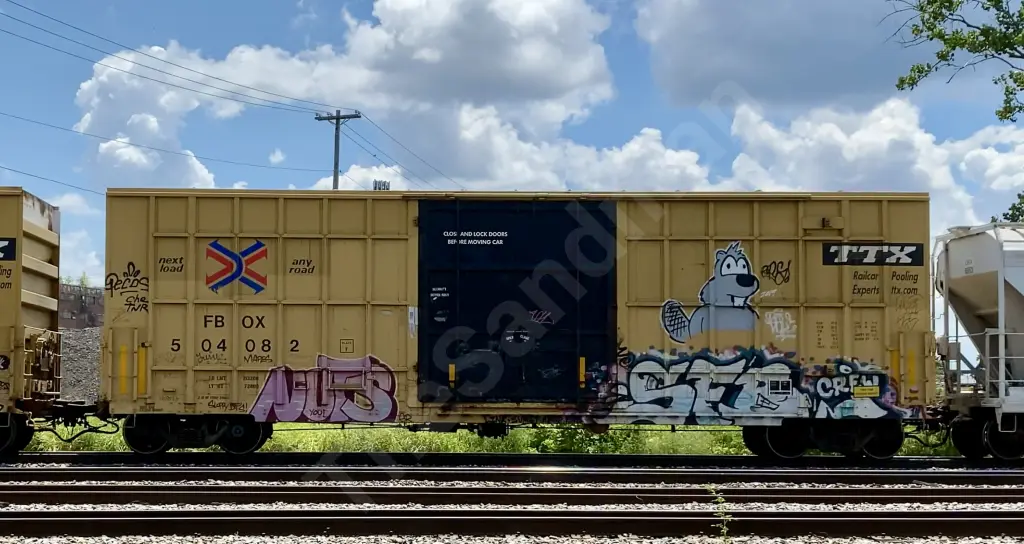 FBOX504082 - NORTH-AMERICA